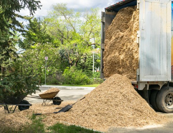Wood Chips Delivery in Kent