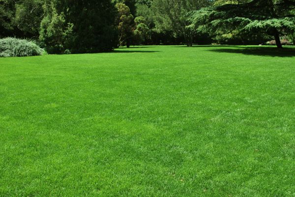 Lawn Landscaping in Kent