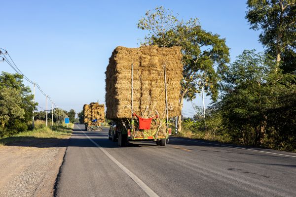 Pine Straw Delivery in Kent