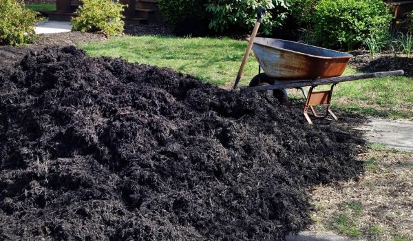 Black Mulch Delivery in Kent
