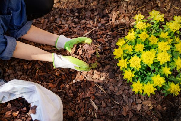Garden Mulching in Kent