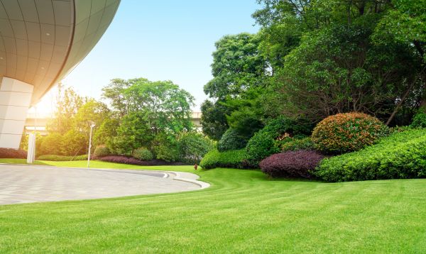 Business Landscape Design in Kent