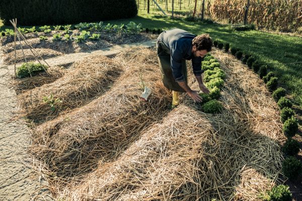 Straw Mulching Service in Kent