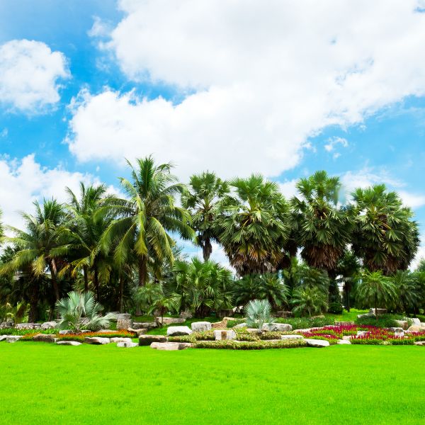 Tropical Landscaping in Kent