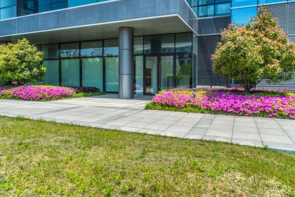 Commercial Gardening in Kent