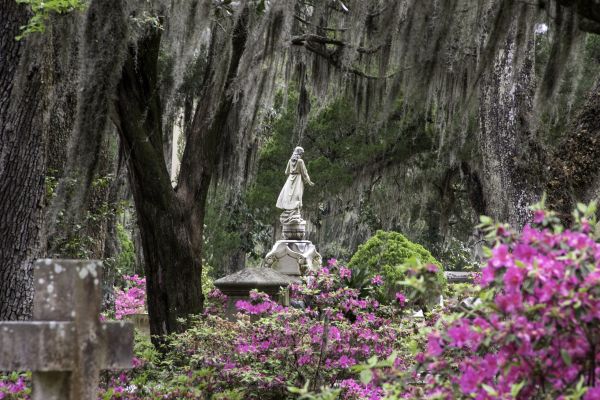 Cemetery Landscaping in Kent