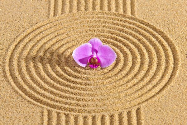 Sand Garden Landscaping in Kent
