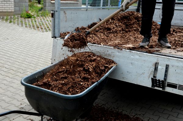Cypress Mulch Delivery in Kent