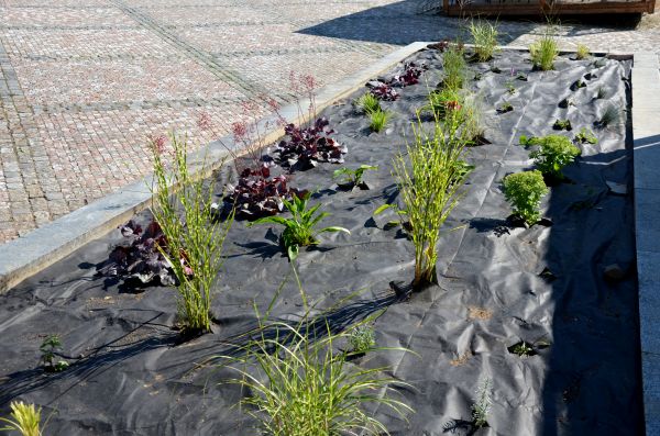 Landscape Fabric Installation in Kent