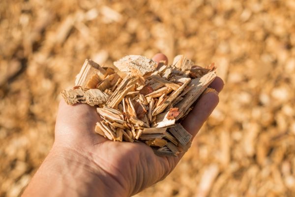 Wood Chips Spreading in Kent