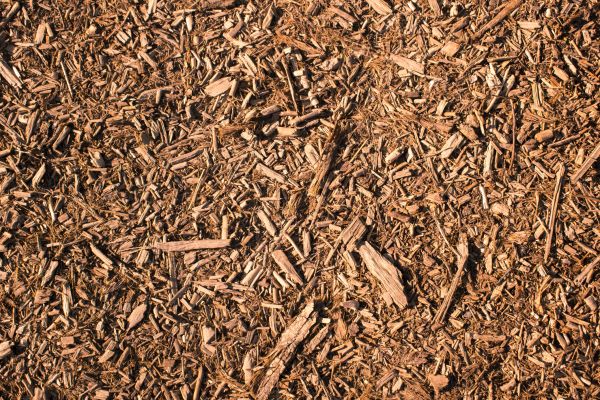 Wood Chips Removal in Kent