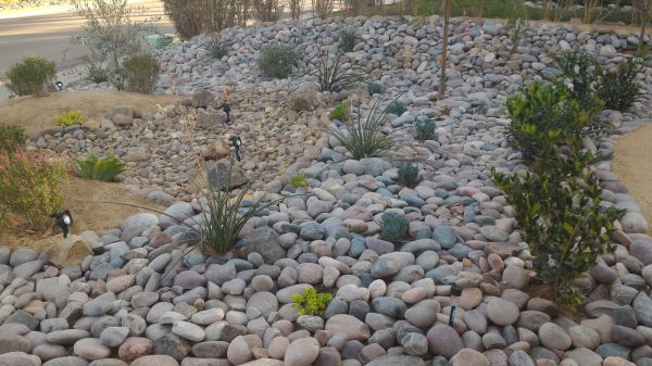 Yard Xeriscaping in Kent
