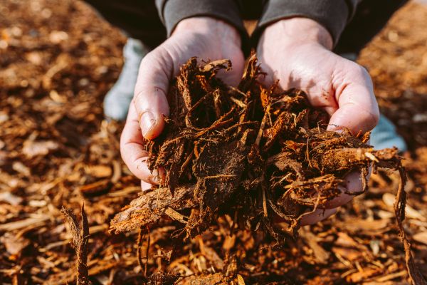 Bark Chips Delivery in Kent