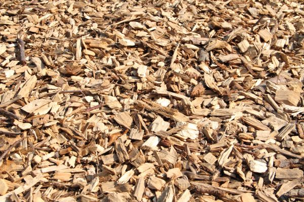 Wood Mulch Delivery in Kent