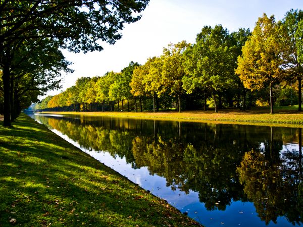 Bank Landscaping in Kent
