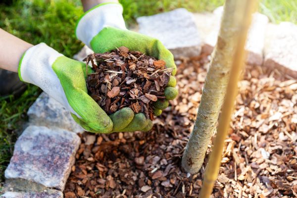 Tree Bark Delivery in Kent