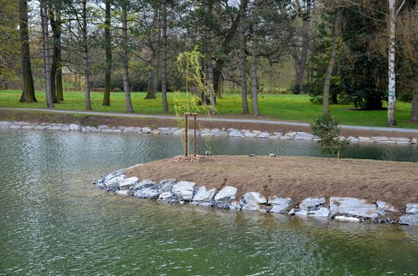 Pond Landscaping Service in Kent